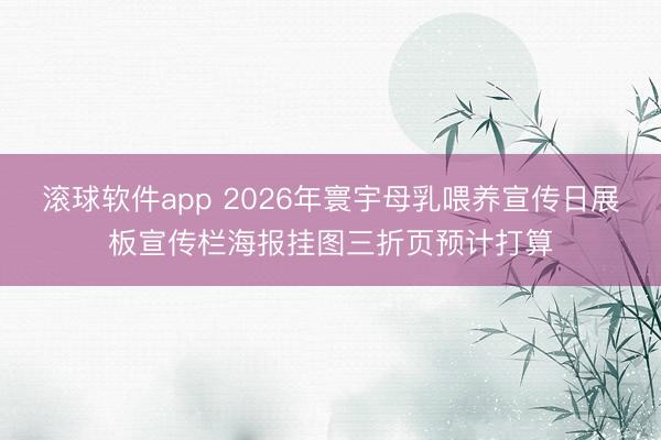 滚球软件app 2026年寰宇母乳喂养宣传日展板宣传栏海报挂图三折页预计打算