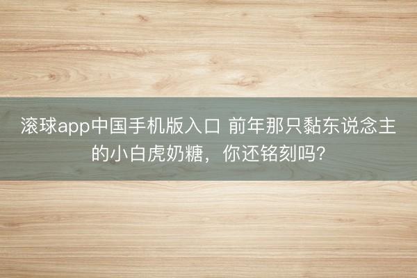 滚球app中国手机版入口 前年那只黏东说念主的小白虎奶糖，你还铭刻吗？