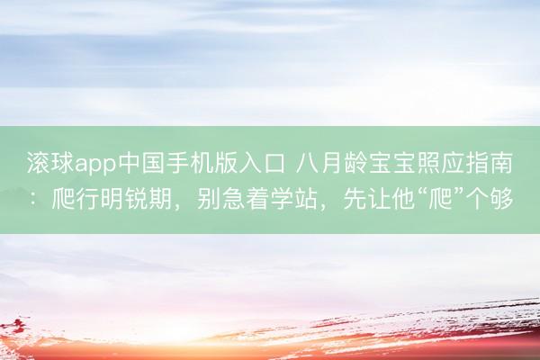 滚球app中国手机版入口 八月龄宝宝照应指南：爬行明锐期，别急着学站，先让他“爬”个够