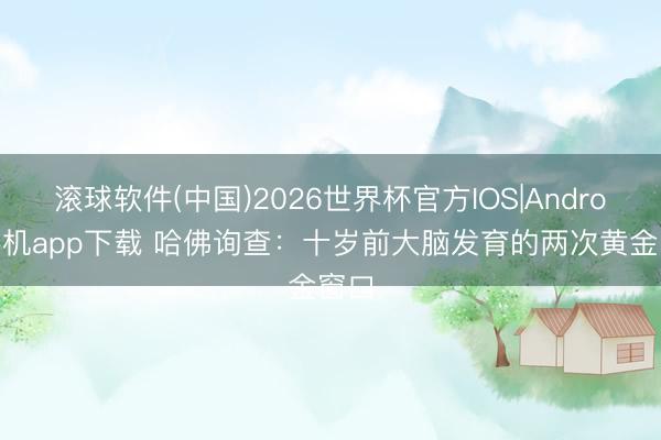 滚球软件(中国)2026世界杯官方IOS|Android手机app下载 哈佛询查：十岁前大脑发育的两次黄金窗口