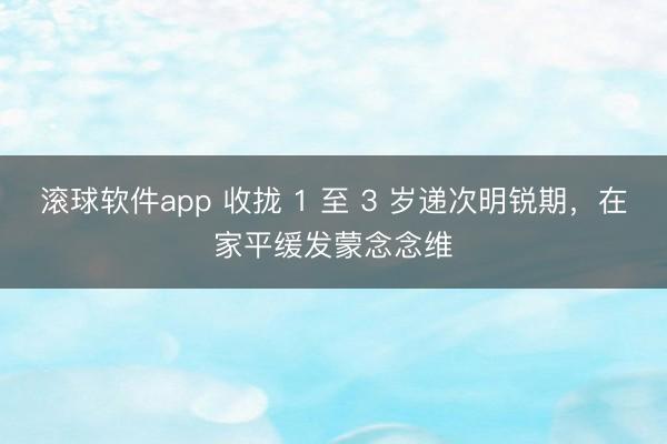 滚球软件app 收拢 1 至 3 岁递次明锐期，在家平缓发蒙念念维