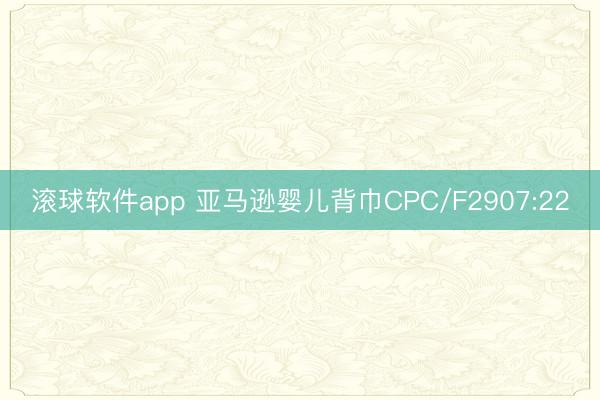 滚球软件app 亚马逊婴儿背巾CPC/F2907:22