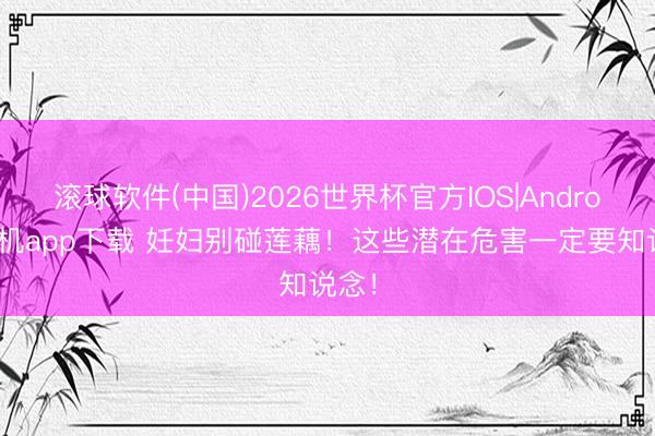 滚球软件(中国)2026世界杯官方IOS|Android手机app下载 妊妇别碰莲藕！这些潜在危害一定要知说念！