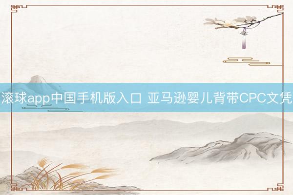 滚球app中国手机版入口 亚马逊婴儿背带CPC文凭