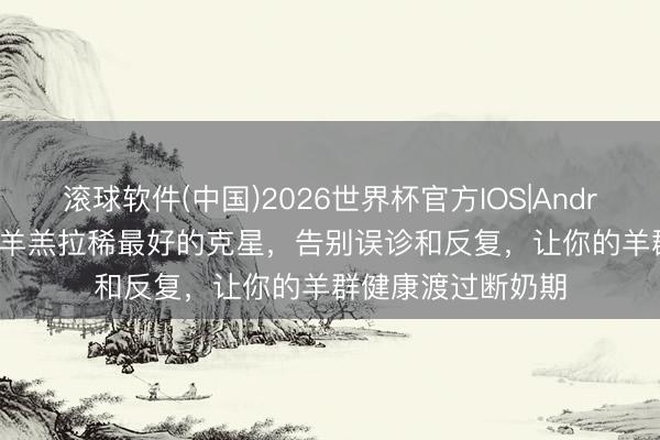 滚球软件(中国)2026世界杯官方IOS|Android手机app下载 羊羔拉稀最好的克星，告别误诊和反复，让你的羊群健康渡过断奶期