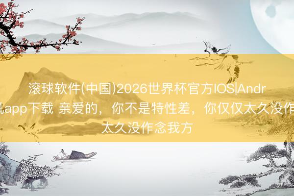 滚球软件(中国)2026世界杯官方IOS|Android手机app下载 亲爱的，你不是特性差，你仅仅太久没作念我方