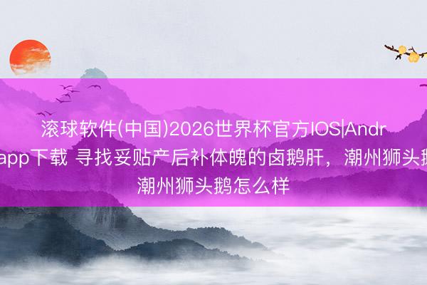 滚球软件(中国)2026世界杯官方IOS|Android手机app下载 寻找妥贴产后补体魄的卤鹅肝，潮州狮头鹅怎么样