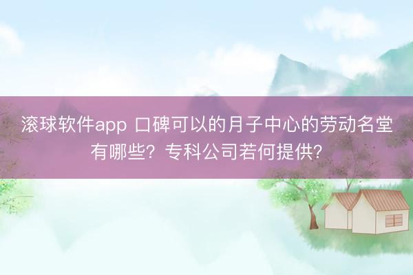 滚球软件app 口碑可以的月子中心的劳动名堂有哪些？专科公司若何提供？