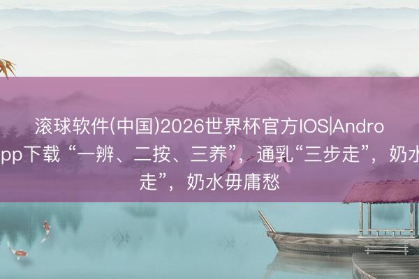 滚球软件(中国)2026世界杯官方IOS|Android手机app下载 “一辨、二按、三养”，通乳“三步走”，奶水毋庸愁