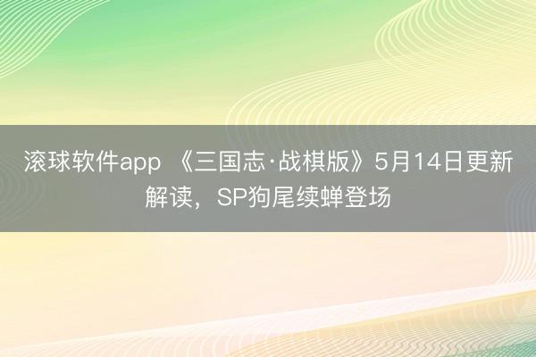 滚球软件app 《三国志·战棋版》5月14日更新解读，SP狗尾续蝉登场