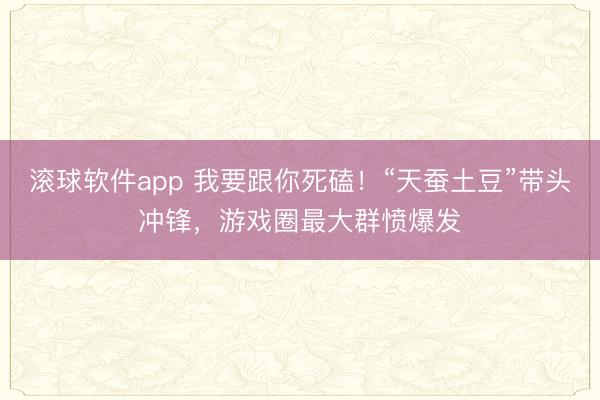 滚球软件app 我要跟你死磕！“天蚕土豆”带头冲锋，游戏圈最大群愤爆发