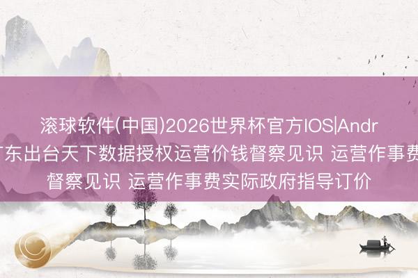 滚球软件(中国)2026世界杯官方IOS|Android手机app下载 广东出台天下数据授权运营价钱督察见识 运营作事费实际政府指导订价