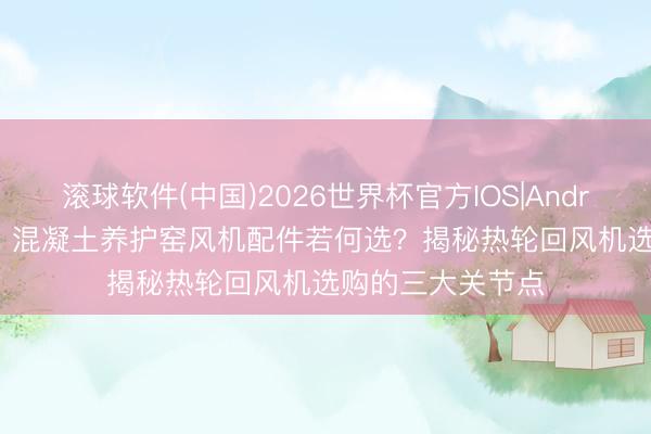 滚球软件(中国)2026世界杯官方IOS|Android手机app下载 混凝土养护窑风机配件若何选？揭秘热轮回风机选购的三大关节点