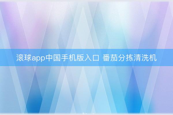 滚球app中国手机版入口 番茄分拣清洗机