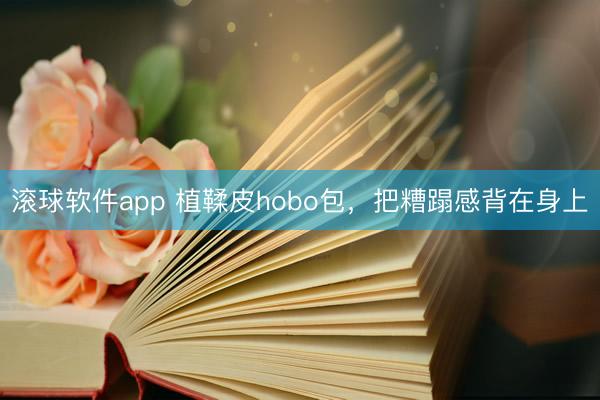 滚球软件app 植鞣皮hobo包，把糟蹋感背在身上