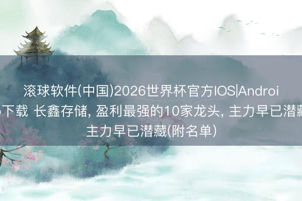 滚球软件(中国)2026世界杯官方IOS|Android手机app下载 长鑫存储， 盈利最强的10家龙头， 主力早已潜藏(附名单)