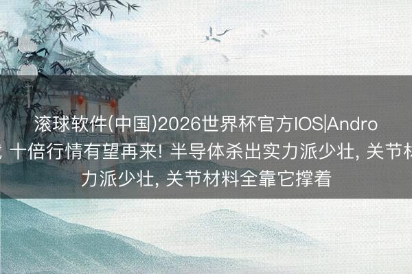 滚球软件(中国)2026世界杯官方IOS|Android手机app下载 十倍行情有望再来! 半导体杀出实力派少壮， 关节材料全靠它撑着