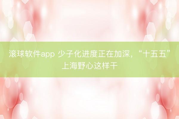 滚球软件app 少子化进度正在加深，“十五五”上海野心这样干