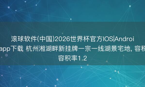 滚球软件(中国)2026世界杯官方IOS|Android手机app下载 杭州湘湖畔新挂牌一宗一线湖景宅地， 容积率1.2
