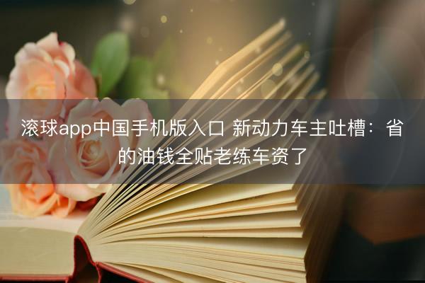 滚球app中国手机版入口 新动力车主吐槽：省的油钱全贴老练车资了