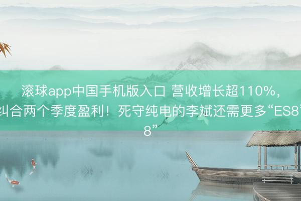 滚球app中国手机版入口 营收增长超110%，纠合两个季度盈利！死守纯电的李斌还需更多“ES8”