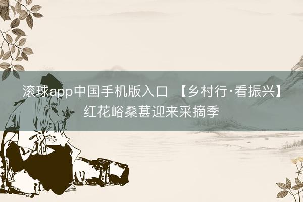 滚球app中国手机版入口 【乡村行·看振兴】红花峪桑葚迎来采摘季