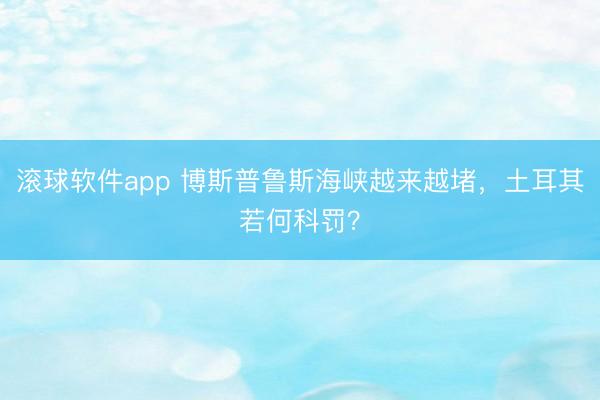 滚球软件app 博斯普鲁斯海峡越来越堵，土耳其若何科罚？