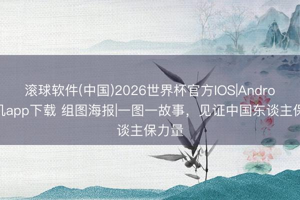 滚球软件(中国)2026世界杯官方IOS|Android手机app下载 组图海报|一图一故事，<a href=