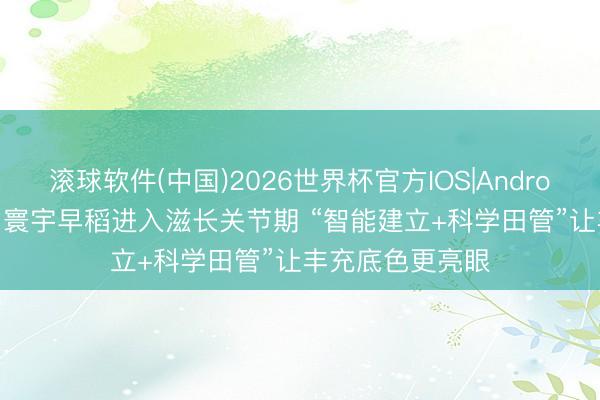 滚球软件(中国)2026世界杯官方IOS|Android手机app下载 寰宇早稻进入滋长关节期 “智能建立+科学田管”让丰充底色更亮眼
