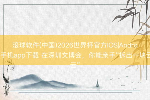 滚球软件(中国)2026世界杯官方IOS|Android手机app下载 在深圳文博会，你能亲手“拆出一块云”