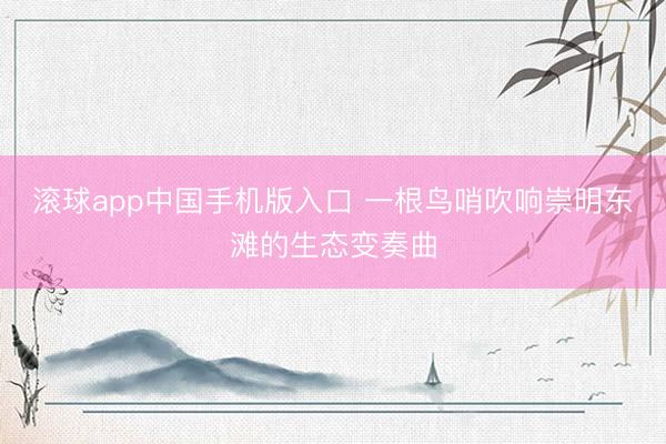 滚球app中国手机版入口 一根鸟哨吹响崇明东滩的生态变奏曲
