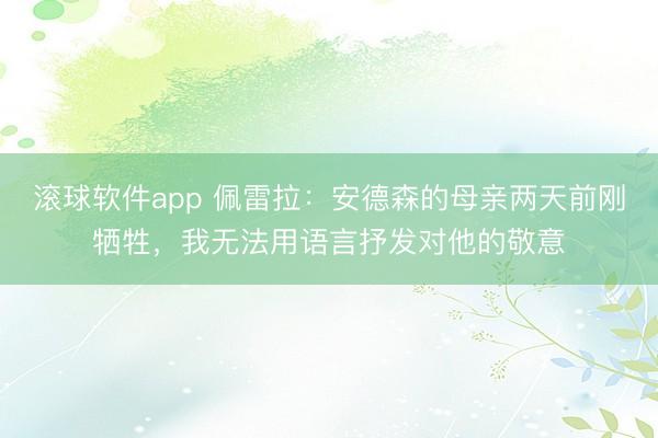 滚球软件app 佩雷拉:安德森的母亲两天前刚牺牲,我无法用语言抒发对他的敬意