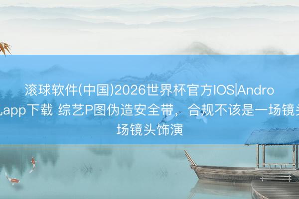 滚球软件(中国)2026世界杯官方IOS|Android手机app下载 综艺P图伪造安全带，合规不该是一场镜头饰演