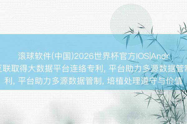 滚球软件(中国)2026世界杯官方IOS|Android手机app下载 飞企互联取得大数据平台连络专利， 平台助力多源数据管制， 培植处理遵守与价值
