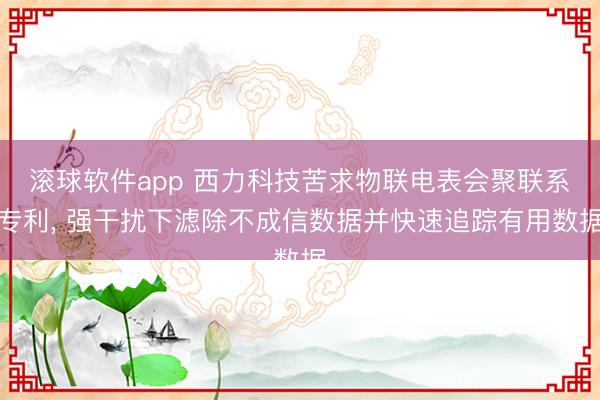 滚球软件app 西力科技苦求物联电表会聚联系专利， 强干扰下滤除不成信数据并快速追踪有用数据