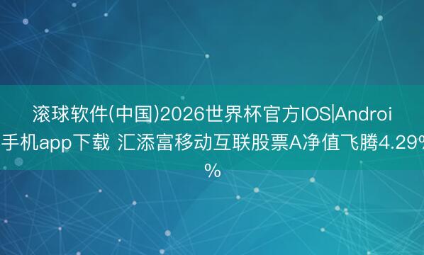 滚球软件(中国)2026世界杯官方IOS|Android手机app下载 汇添富移动互联股票A净值飞腾4.29%