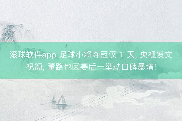 滚球软件app 足球小将夺冠仅 1 天, 央视发文祝颂, 董路也因赛后一举动口碑暴增!
