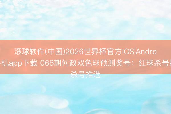 滚球软件(中国)2026世界杯官方IOS|Android手机app下载 066期何政双色球预测奖号：红球杀号推选
