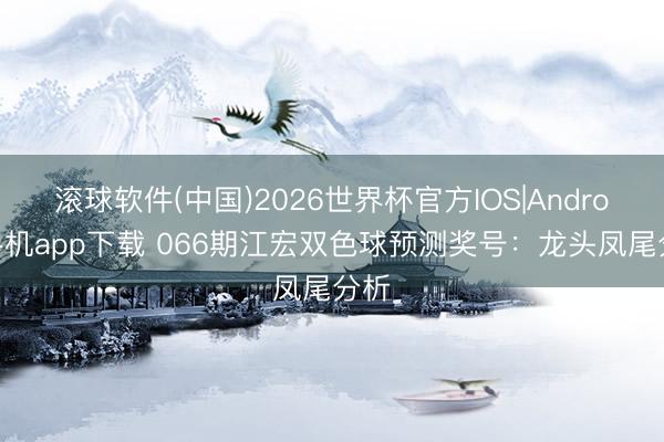 滚球软件(中国)2026世界杯官方IOS|Android手机app下载 066期江宏双色球预测奖号：龙头凤尾分析
