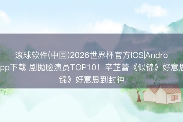 滚球软件(中国)2026世界杯官方IOS|Android手机app下载 剧抛脸演员TOP10!辛芷蕾《似锦》好意思到封神