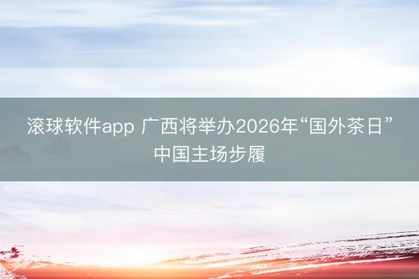 滚球软件app 广西将举办2026年“国外茶日”中国主场步履