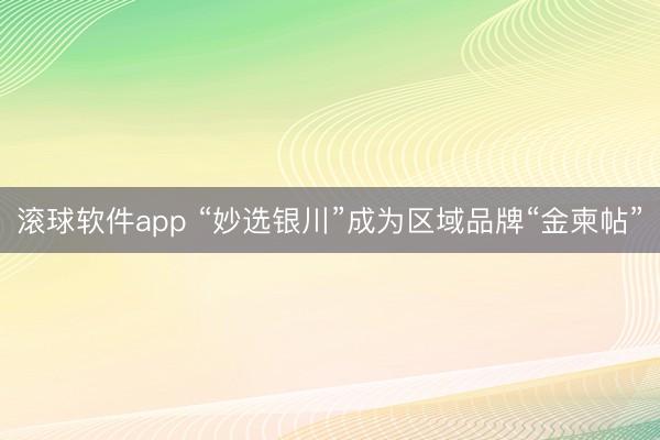 滚球软件app “妙选银川”成为区域品牌“金柬帖”