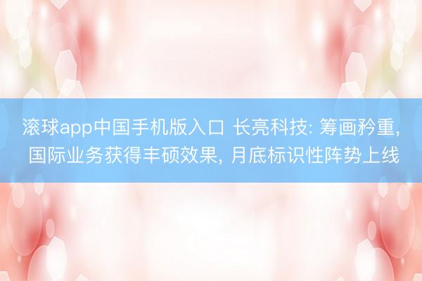 滚球app中国手机版入口 长亮科技: 筹画矜重， 国际业务获得丰硕效果， 月底标识性阵势上线