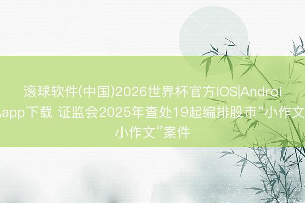 滚球软件(中国)2026世界杯官方IOS|Android手机app下载 证监会2025年查处19起编排股市“小作文”案件