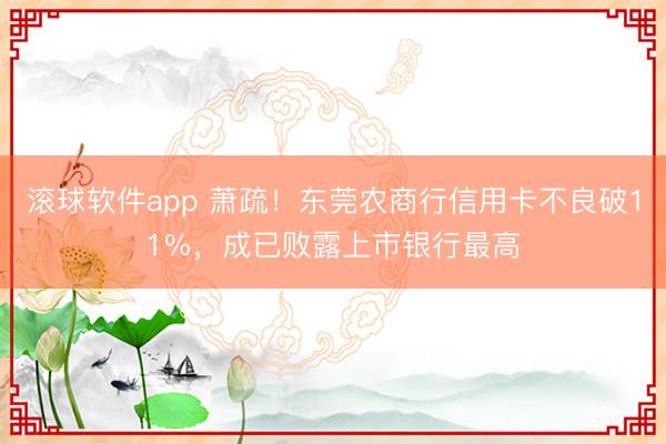滚球软件app 萧疏!东莞农商行信用卡不良破11%,成已败露上市银行最高