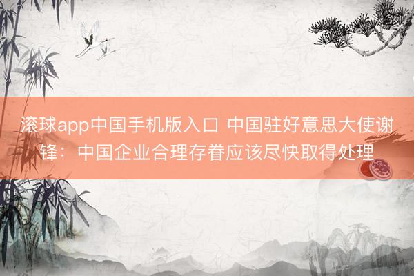 滚球app中国手机版入口 中国驻好意思大使谢锋:中国企业合理存眷应该尽快取得处理