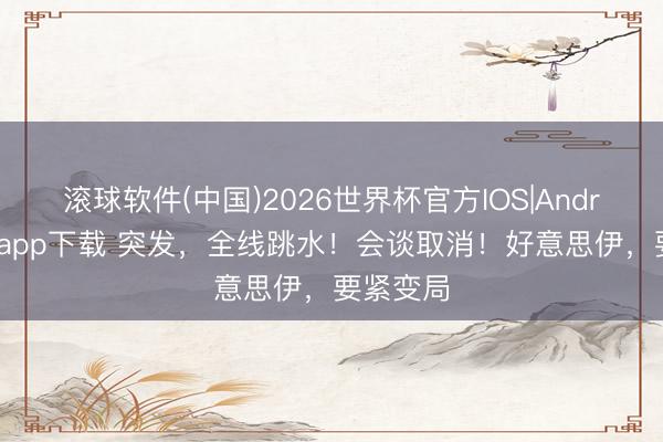 滚球软件(中国)2026世界杯官方IOS|Android手机app下载 突发，全线跳水！会谈取消！好意思伊，要紧变局