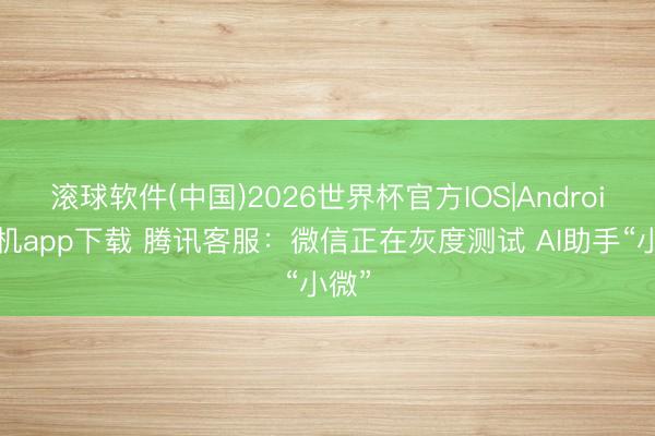 滚球软件(中国)2026世界杯官方IOS|Android手机app下载 腾讯客服：微信正在灰度测试 AI助手“小微”